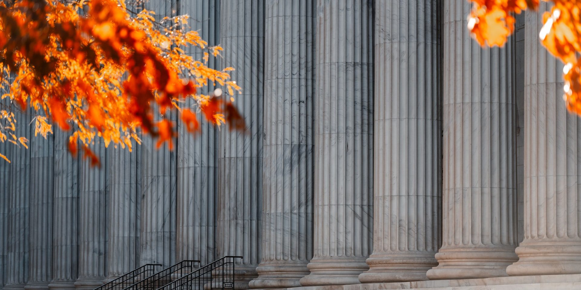 Petitioner or Respondent