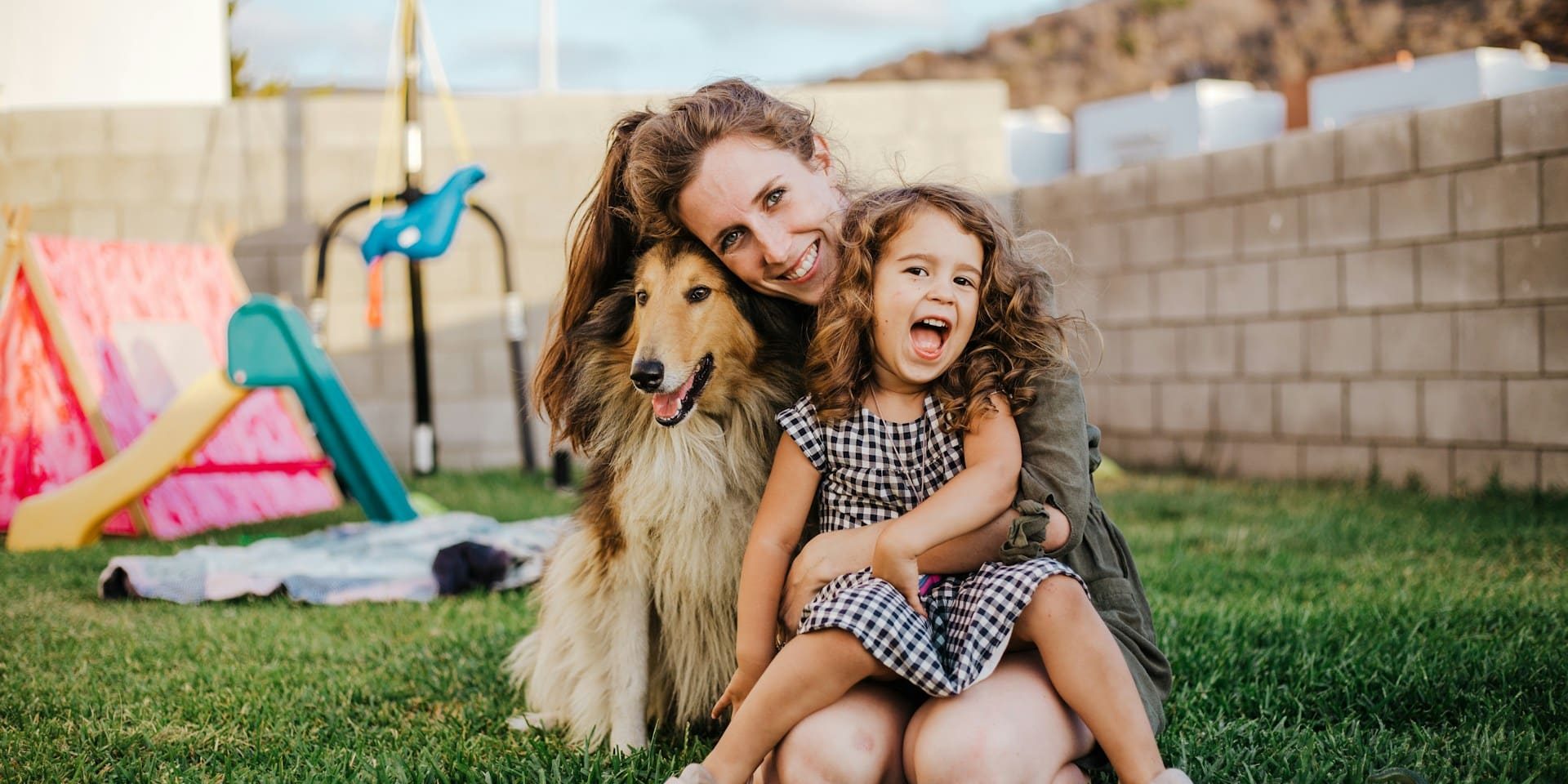 Pet Custody