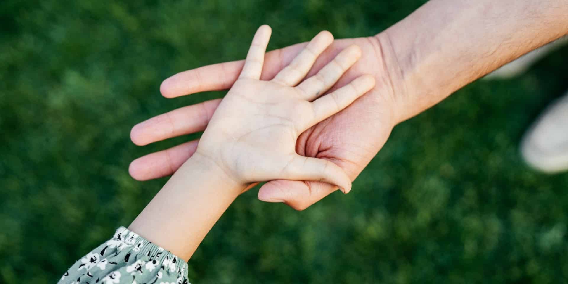 Guardianship and Adoption