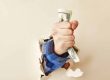 Indemnification Clauses