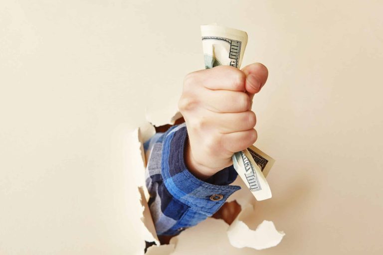 Indemnification Clauses
